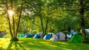 Year 7 Camping Trip - 15th to 16th July 2019